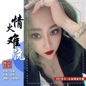 情火难浇 (DJ何鹏版)