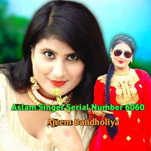 Aslam Singer Serial Number 6060
