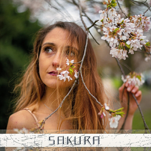 Sakura