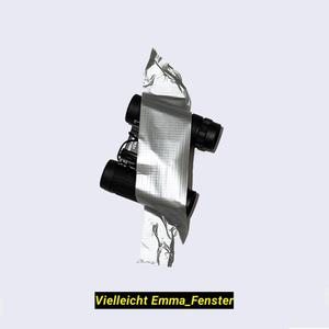 Fenster