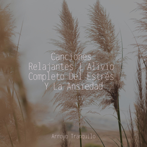 Corrientes Torrenciales