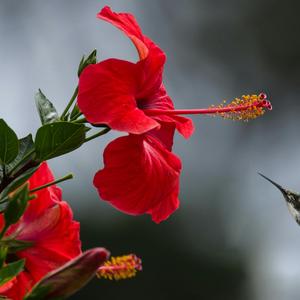 I see the shadows on the wall