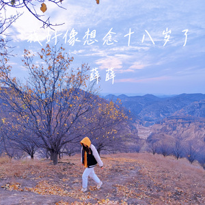 我好像想念十八岁了