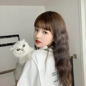 阿拉斯加的海湾