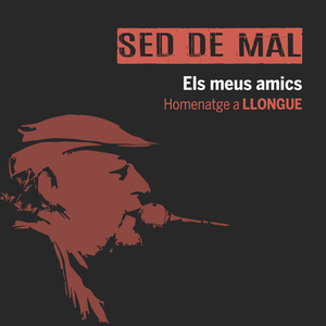 Els meus amics (Homenatge a Llongue)