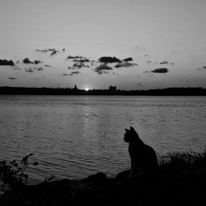 我就是这样的人