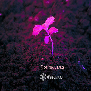 Sprouting