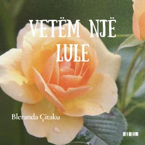 Vetëm një lule (Bleranda Çitaku)