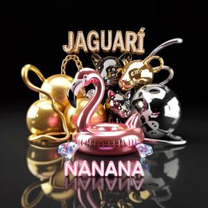 NaNaNa