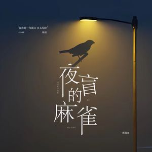 夜盲的麻雀