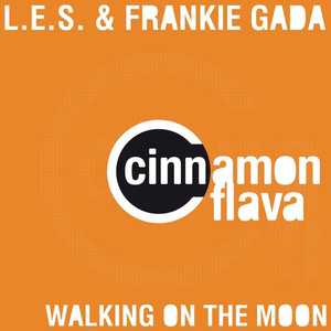 Walking On the Moon (Moon Edit)