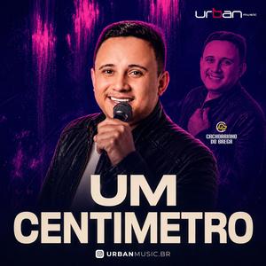 Um centímetro