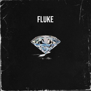 Fluke