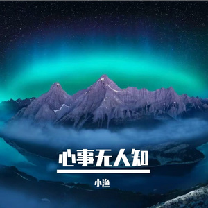 一路披光向前