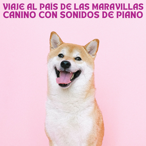 Exploración Canina
