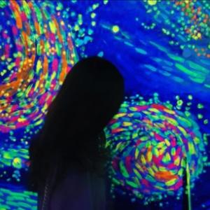 陪你看星星_Luo_音质.mp3