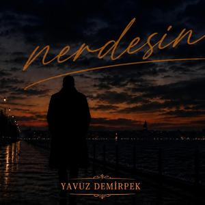 NERDESİN