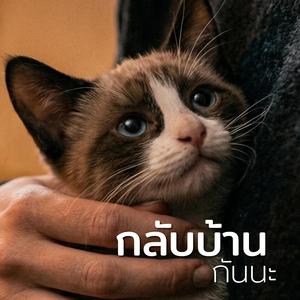 กลับบ้านกันนะ