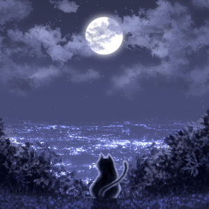 時計のない世界