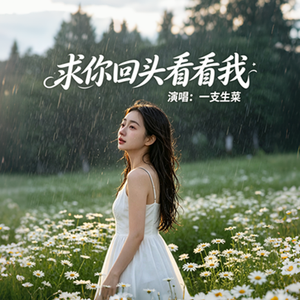 求你回头看看我