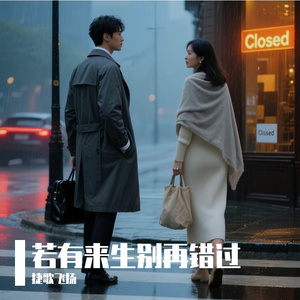 若有来生别再错过 伴奏