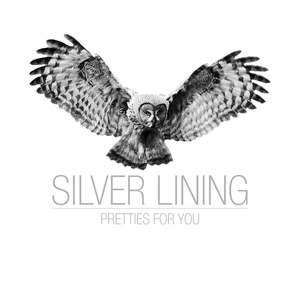 Silver Lining