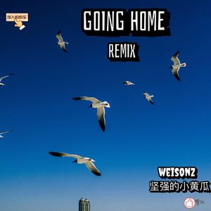 飞行少年Remix（翻自 Gun / Mad clow）