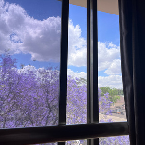 女朋友要带回家