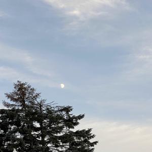 The Only One (Instrumental)