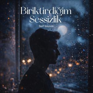 Biriktirdiğim Sessizlik