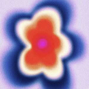 回留