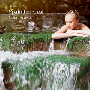 Midnight Cricket Concert