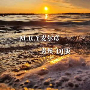 青丝（DJ版）