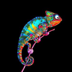 Chameleon