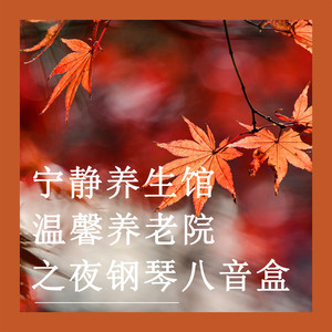 养生之夜·温馨岁月 (八音盒)