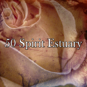 Tea in the Chinese Gardens