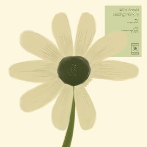 Repair Imcomplete Memory (feat.14?)