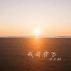 我向你飞