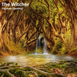 The Witcher