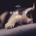 我想做一个梦给你