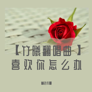 喜欢你怎么办（Cover：王心凌）