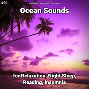 Ocean Sounds Pt. 7