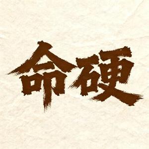 命硬 (风无念 Remix)