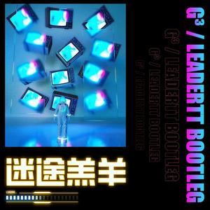 张震岳-迷途羔羊（G³ / LEADERTT Bootleg Mix）