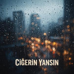 Ciğerin yansın
