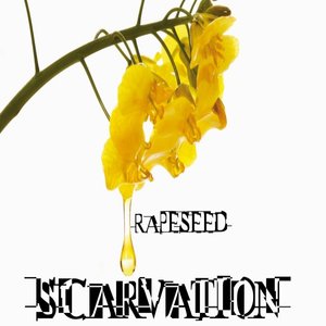 Rapeseed