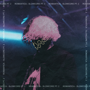 CRUSH VIBE (Slowed & Reverb)