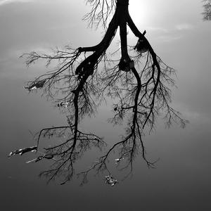 出山【低音炮】