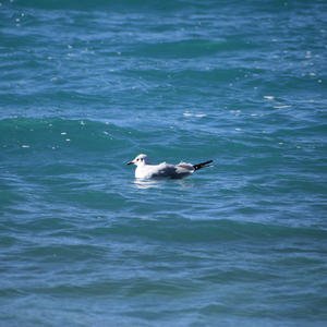 遗憾是潮湿的回南天