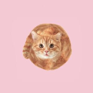 赏味期限（Cover 黄小桢）